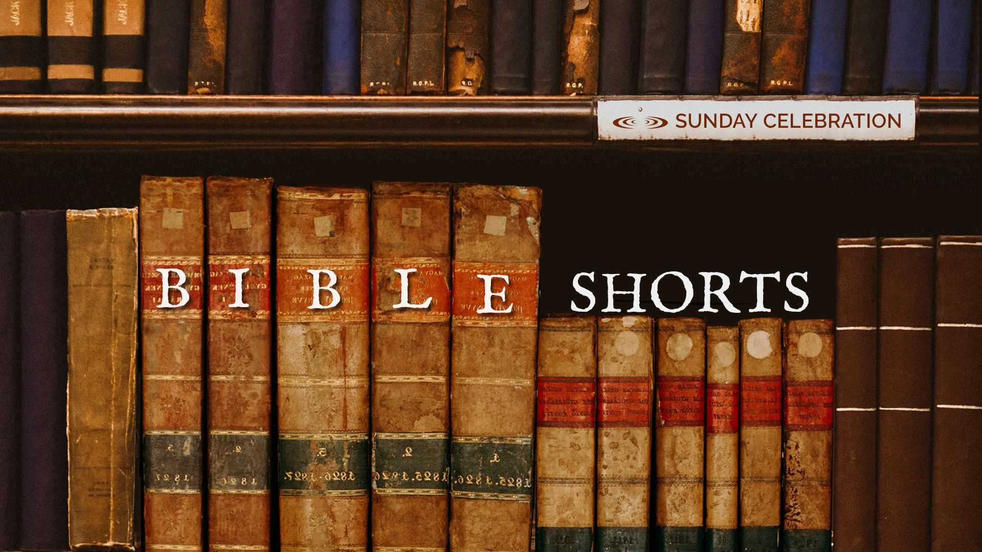 Bible Shorts
